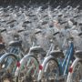Großer Schlag gegen die Fahrrad-Mafia: Polizei stellt 3.500 Fahrräder in Hamburg sicher